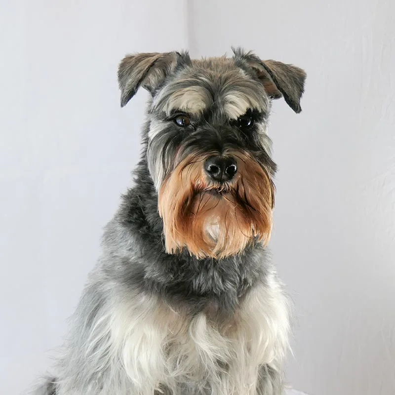 Fritz Profile